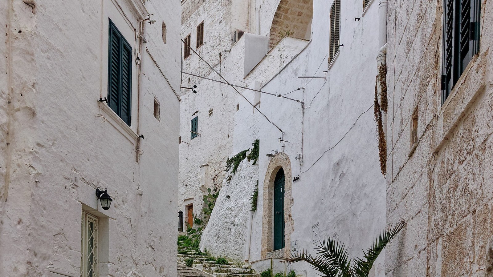 Il centro storico di Ostuni visto dall'alto al tramonto, con le case bianche sul colle e gli ulivi secolari intorno