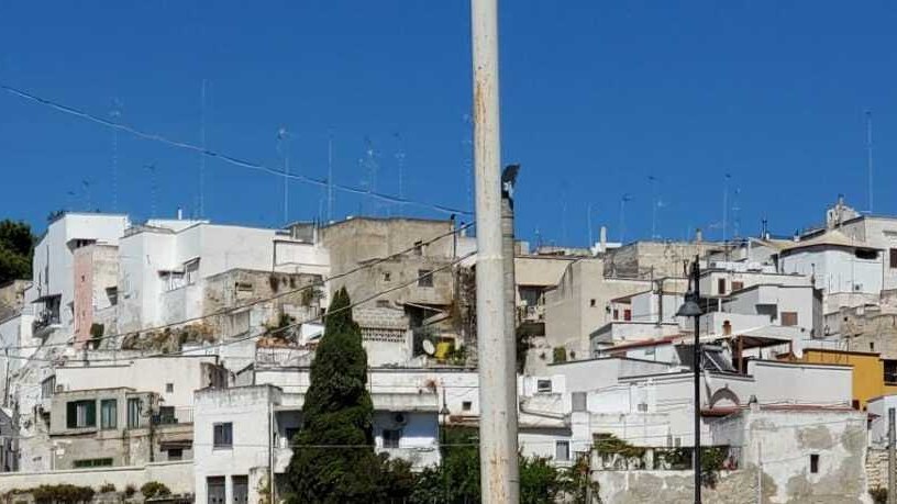 Veduta della Gravina di San Marco a Massafra con le chiese rupestri scavate nella roccia calcarea e le case del borgo sul bordo del canyon