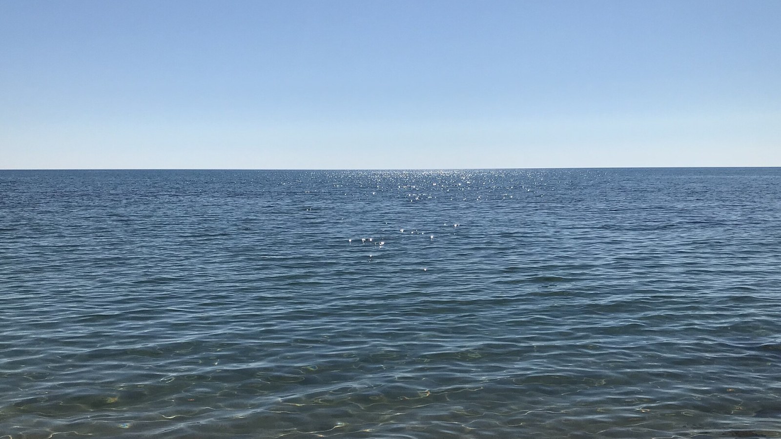 Anfore romane tardo-imperiali adagiate sul fondale del Mar Ionio, ancora nella posizione originale del carico della nave