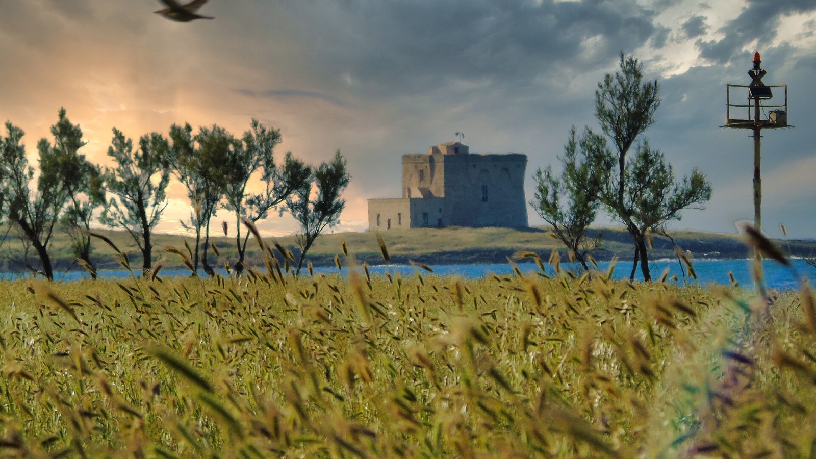 La torre aragonese di Torre Guaceto al tramonto, sul promontorio di Carovigno in provincia di Brindisi