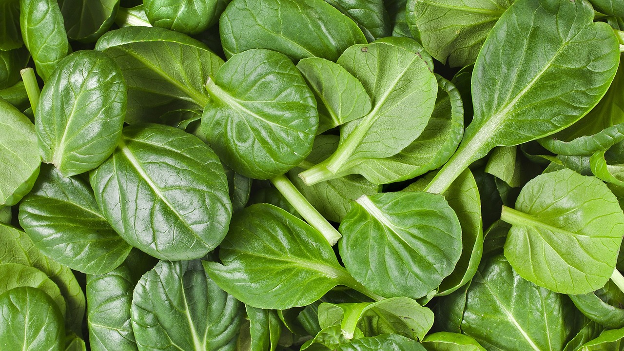E' vero che gli spinaci contengono molto ferro? Ecco la risposta. Incredibile!  