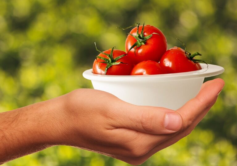 Attenzione a mangiare troppi pomodori: ecco cosa può accadere allo stomaco